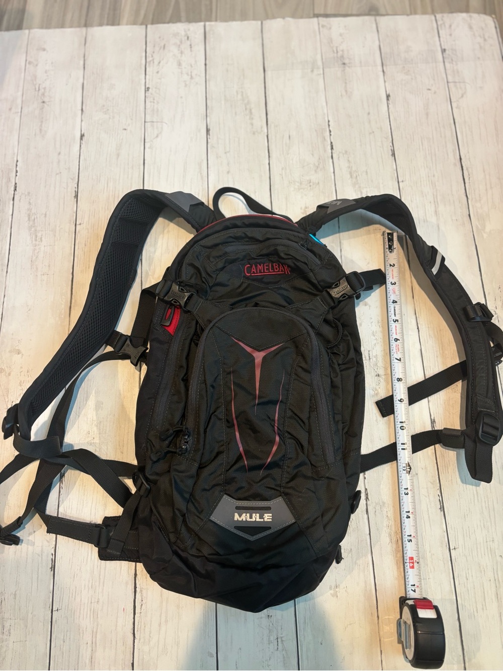 CamelBak Black Backpack with Red Accents